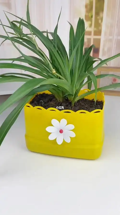 变废为宝  #手工  #洗洁精瓶子改造