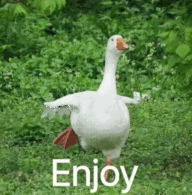 死到临头的鸭子