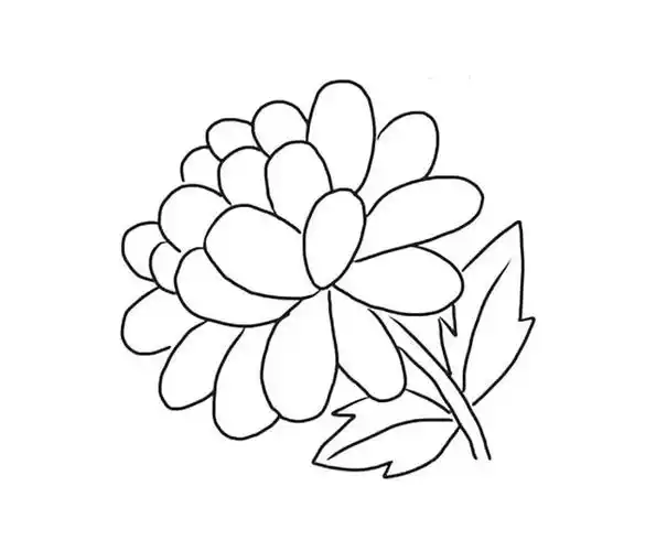 金盏花简笔画图片 金盏花怎么画 - 花朵简笔画 - 老师板报网