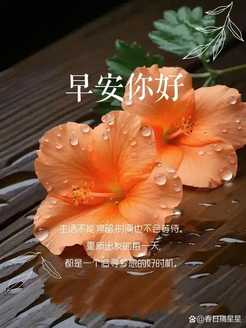 早安心语|唯美阳光的早安句子,正能量满满