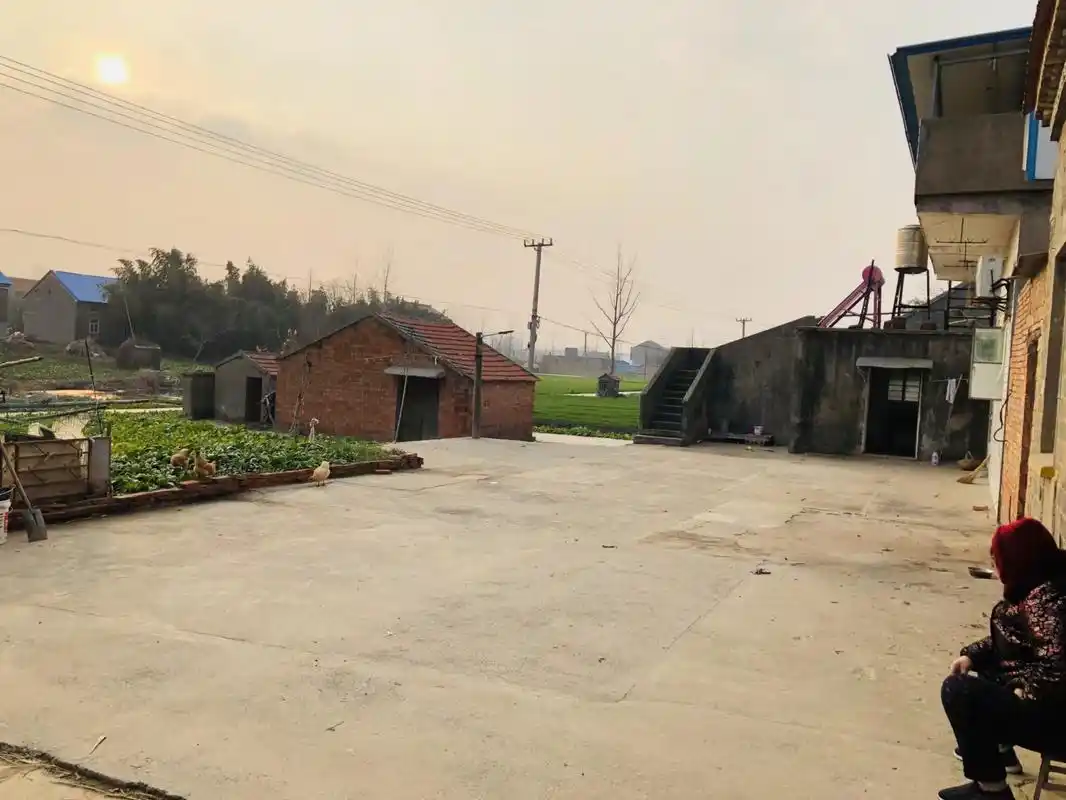 老人总是孤独的坐在自家门口发呆的场景真的很难不哭