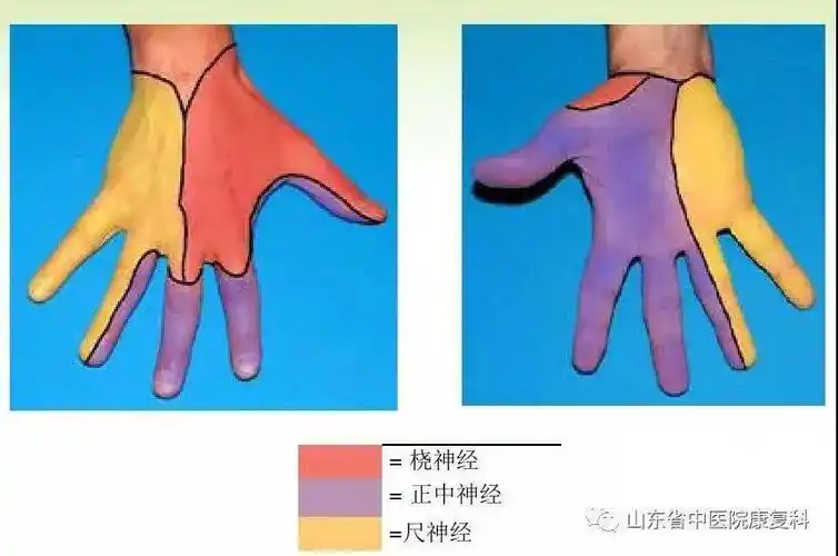 手麻是怎么回事前斜角肌综合征