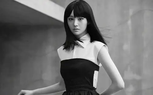 郑爽简约黑白高清桌面壁纸