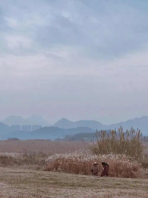 杭州拍照  #南湖公园  #风景谁能想到,杭州南湖公园在西湖的西边呢谁