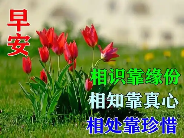 早上好祝福语图片问候动态表情图片每日暖心情话早安语录
