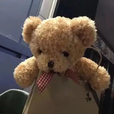 ins小熊头像图片,高清很火的小熊头像图片_可爱头像_美头网