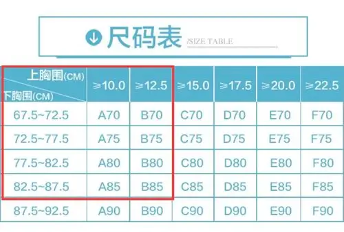 团品:纳芙夫人聚拢a/b中厚杯无钢圈内衣套装(1件文胸 一条内裤)