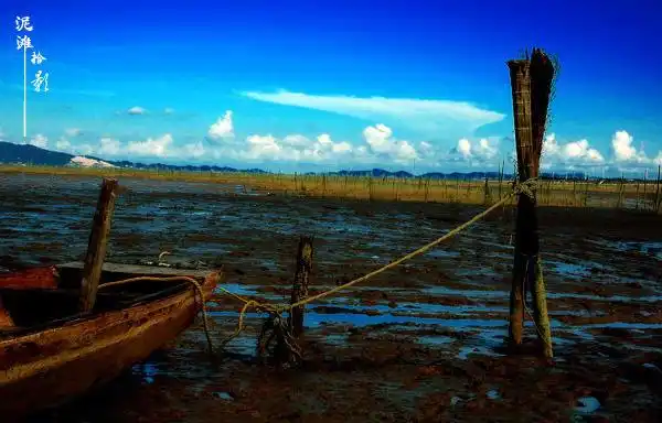 泥滩拾影 ---新会古兜围垦湿地公园