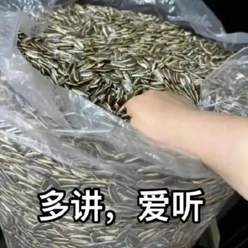 有没有一个万能表情包可以回复所有问题