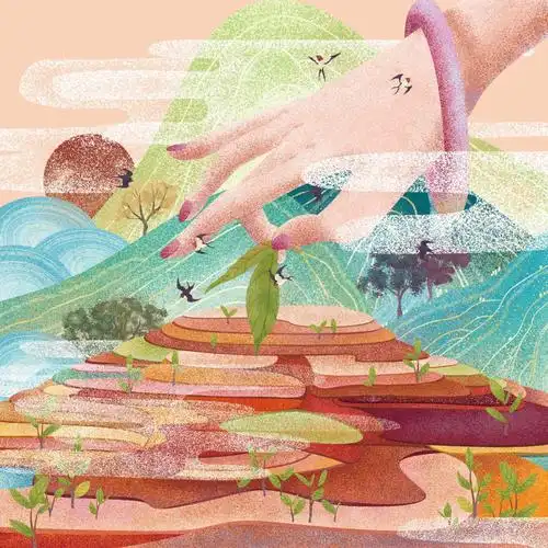 一组简单的茶叶包装插画