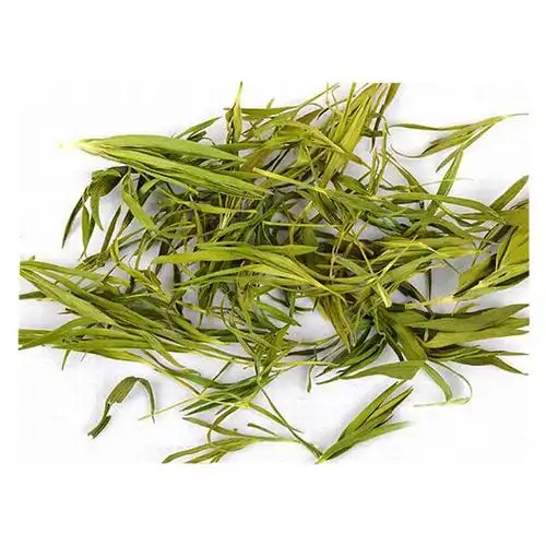 关于淡竹叶的功效与作用的信息