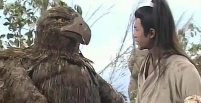 杨过跟小龙女归隐后那只大雕去哪了结局很现实金老有暗示