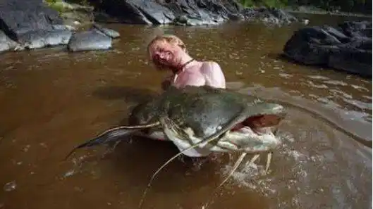 印度河流出现"吃人水怪",重达200斤,专家直言:全是自己造的