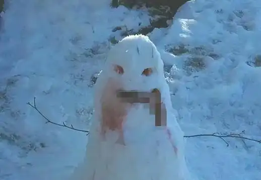 回顾哈尔滨雪人案4名花季少女被堆成雪娃到底是谁如此狠心