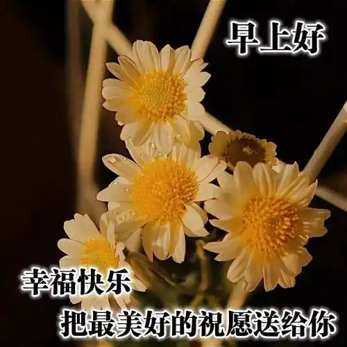 原创2021年早上好问候语图片表情大全早上好祝福短句唯美图片