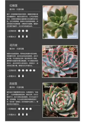 150种多肉植物图鉴