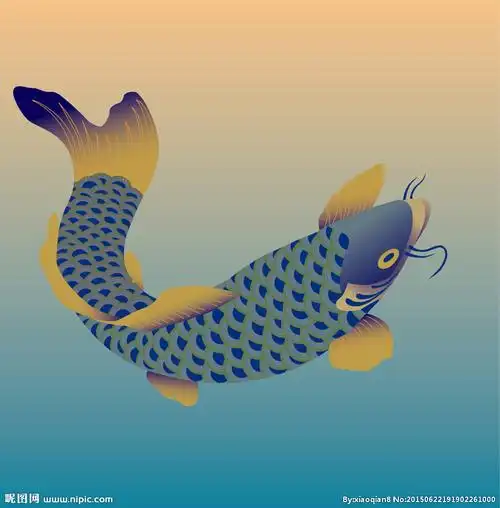 鱼图案设计