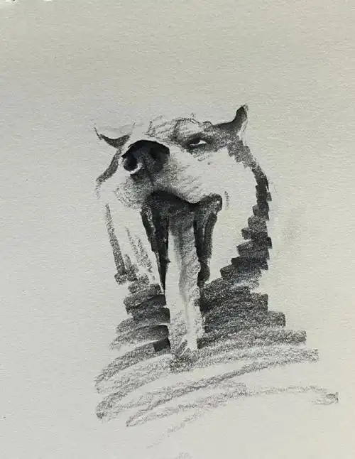 设计美学##创意设计