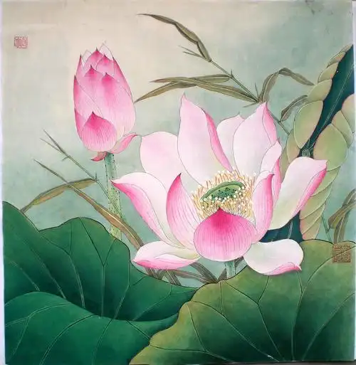 [分享]爱莲说——工笔画