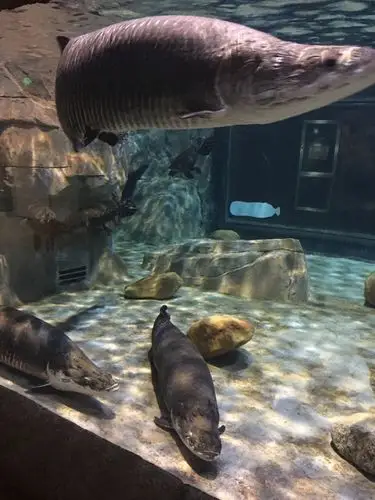 南太湖海洋公园