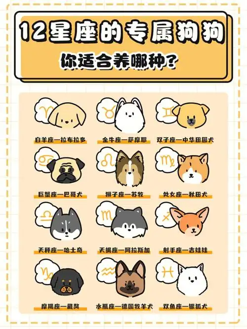 12星座的专属狗狗