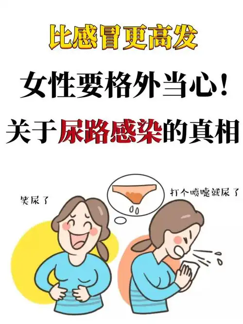 比感冒更高发的尿路感染女性要格外当心