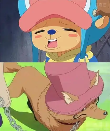 海贼王真假草帽一伙颜值对比,两女神丑出天际,三大主力没眼看!