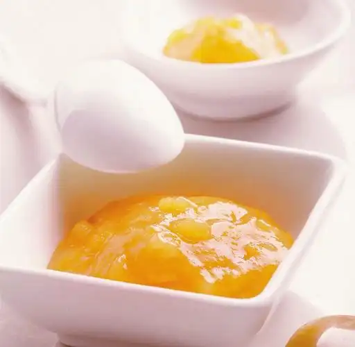 盾皇酸梅果酱 酸梅沙冰酱 盾皇果酱3kg 沙冰刨冰奶昔高档原料