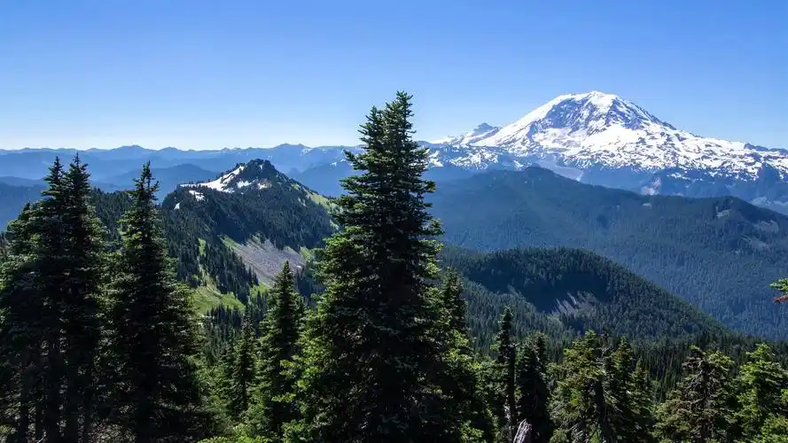 首页 自然与风景 阿拉斯加,山,树,森林,蓝天,美国 壁纸 / 1920x1080