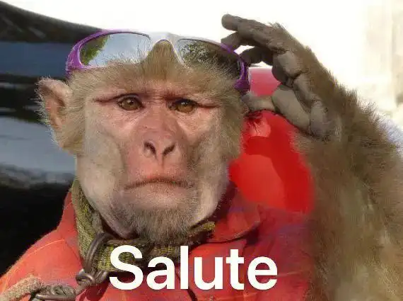 搞笑幽默  #猴子  #表情包