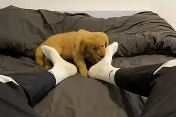 体育生臭脚_百度视频搜索