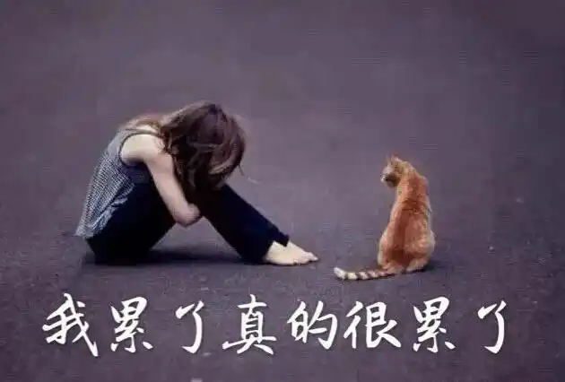 心酸的句子_第一句子网