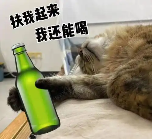猫咪与铲屎官共享食物大起底~以及祝6岁小胖生日快乐!