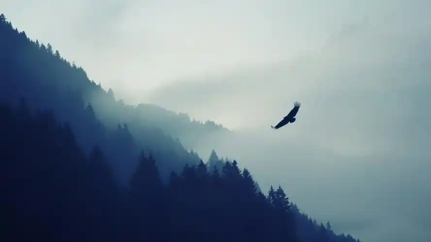 34寸壁纸带鱼屏,3440*1440带鱼屏壁纸_大山谷图库