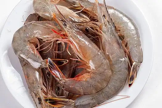 青虾大虾图片_青虾大虾图片大全_青虾大虾图片素材