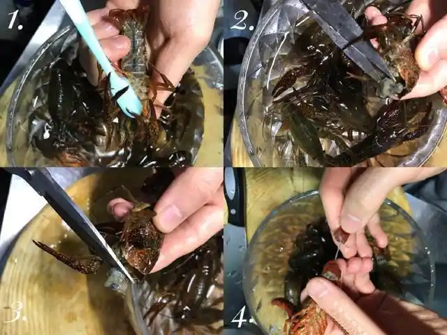 虾头三分之一处剪掉,抽处虾线,入锅焯水!