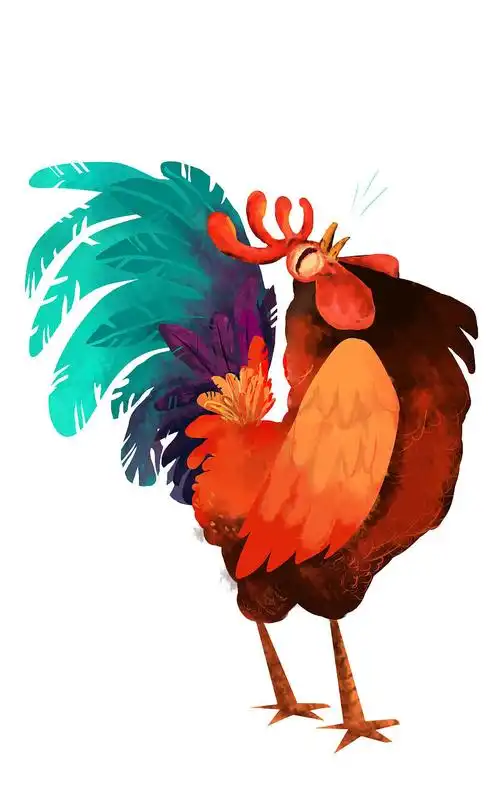 鸡年大吉|商业插画|插画|开开_鑫 - 原创设计作品 - 站酷 (zcool)