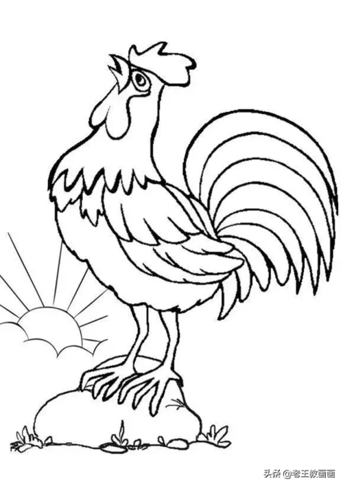 公鸡简笔画(怎么画公鸡)