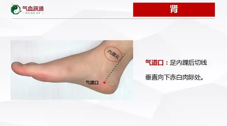 小腿全息疗法原理二