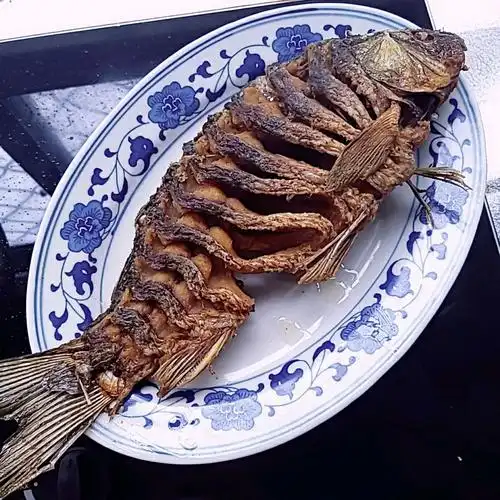 鲤鱼怎么炸(鲤鱼怎么炸好看)