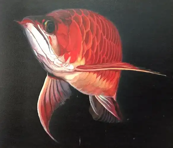 artand艺术家油画红龙