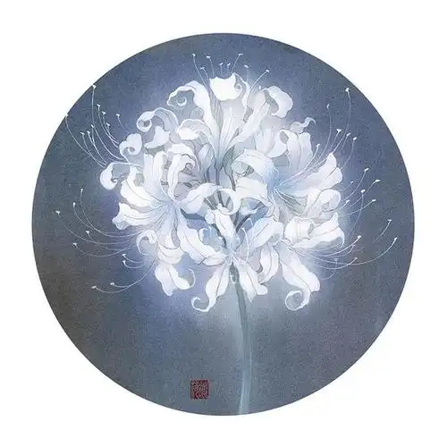 画一株白色的曼珠沙华