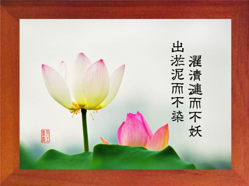 营养书画进口实木框画摆件出淤泥而不染濯清不妖5款现代装饰画