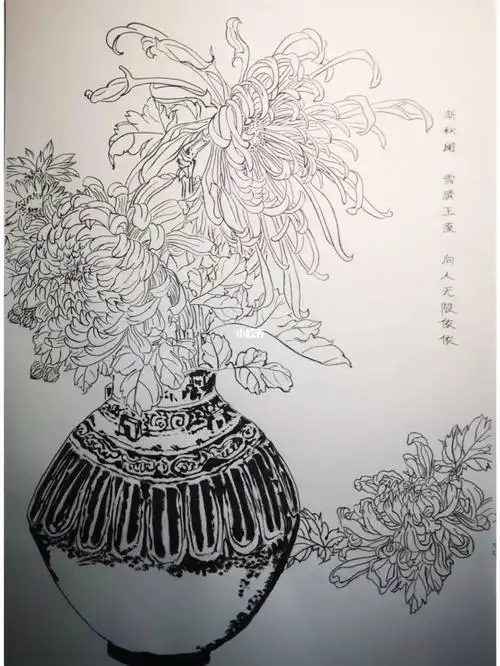 工笔画白描瓶花菊花