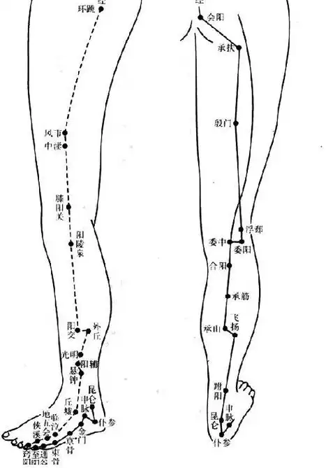 腿部穴位">