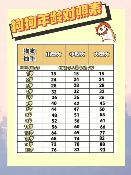 98小型犬,中型犬和大型犬各个年龄和人类的换算,快看下你家狗子的