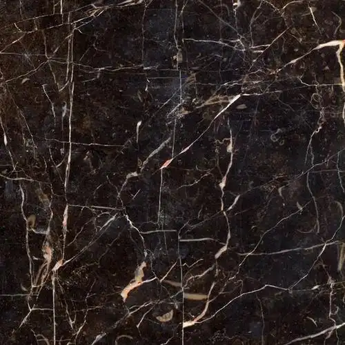 意大利黑金花s010