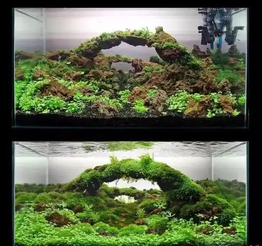 90x45x45水草缸造景 - 2020年最新商品信息聚合专区 - 百度爱采购