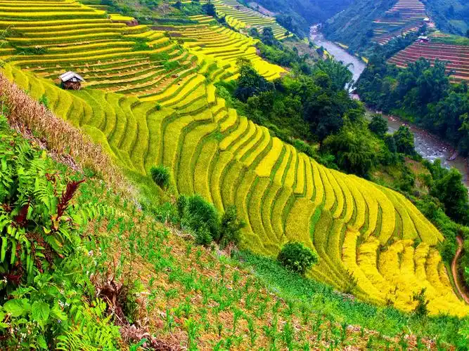 首页 自然与风景 梯田 美丽的乡村,田野,梯田,山,河 壁纸 / 1920x1440
