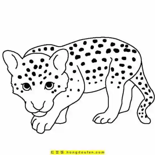 9张有着漂亮斑点的优雅猎豹卡通涂色图片免费下载-红豆饭小学生简笔画